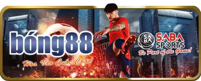 Cá cược các môn thể thao khác tại tài xỉu on